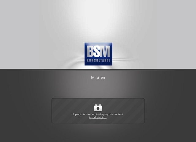 BSM Konsultanti, SIA